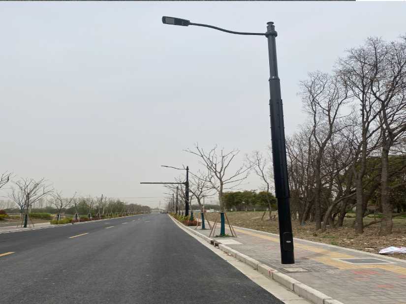 东至县上海综合杆 太阳能路灯工程